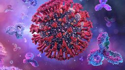 El IUDPT confirmó el inicio del desarrollo de anticuerpos monoclonales en Argentina.