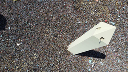 La Selección puso a los argentinos en otra y los políticos no logran imponer agenda.