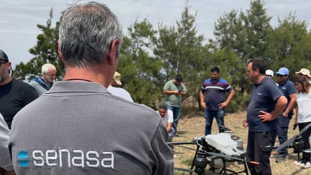 Argentina volvió a apostar a la tecnología con la implementación de los drones para terminar con la crisis de las langostas. Argentina volvió a apostar a la tecnología con la implementación de los drones para terminar con la crisis de las langostas.