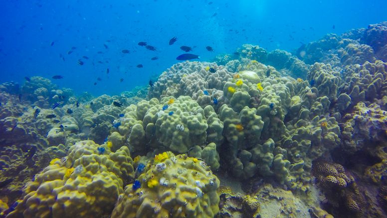 Cómo ver la nueva expedición del CONICET y por qué todos podrían quedar impactados (otra vez)