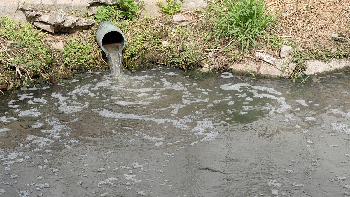 Un análisis químico de las aguas residuales reveló los hábitos, usos y costumbres ocultos de las grandes ciudades. Un análisis químico de las aguas residuales reveló los hábitos, usos y costumbres ocultos de las grandes ciudades.