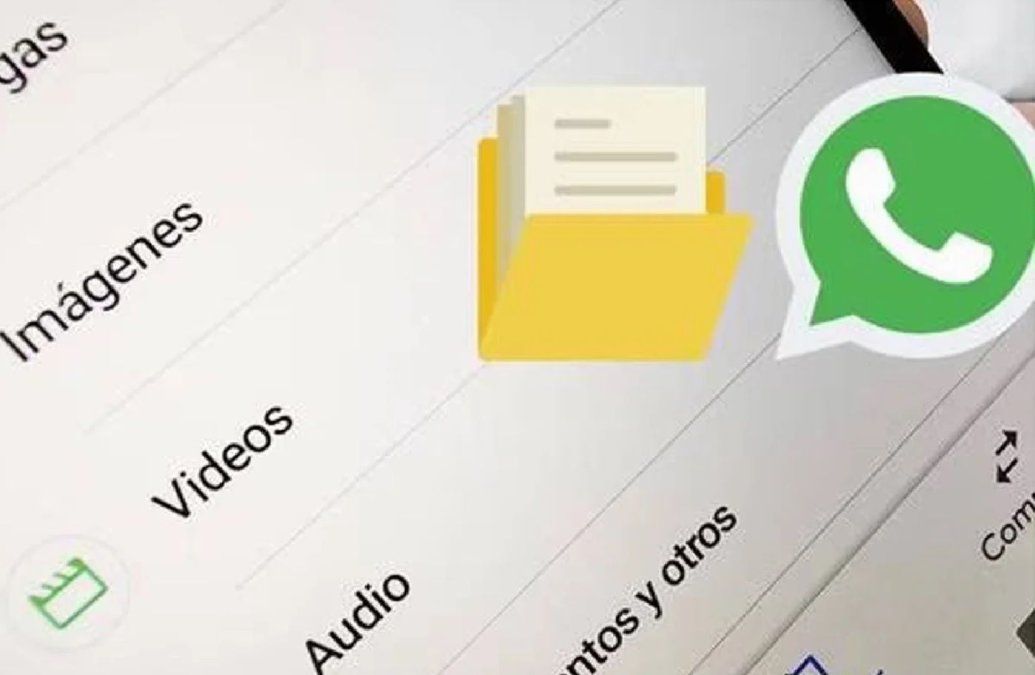 Secreto revelado: Qué hacer para que WhatsApp no ocupe todo el espacio en tu celular