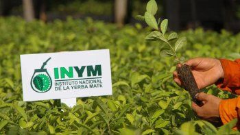 El Gobierno libera precios de la yerba mate y le quita poder al INYM