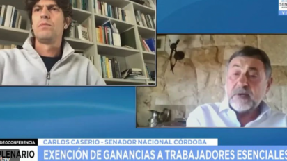 Video: Caserio y Lousteau a los gritos en plena videoconferencia del Senado