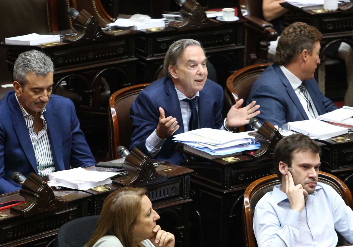 Miguel Pichetto y la Ley Bases: en el Senado sufriría múltiples cambios Miguel Pichetto y la Ley Bases: en el Senado sufriría múltiples cambios