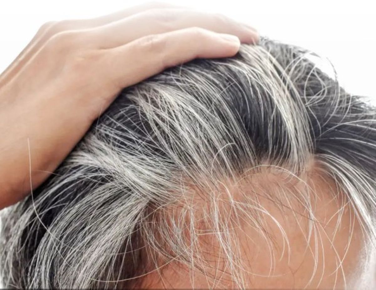 Las canas no siempre son sinónimo de envejecimiento, en Japón descubrieron que también pueden ser un mecanismo natural de defensa del cuerpo frente al cáncer. &nbsp;