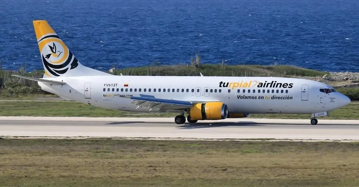 Turpial volará desde Venezuela hacia Colombia.