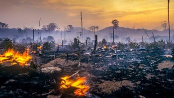 La destrucción humana del Amazonas aumenta el riesgo de otra pandemia. La destrucción humana del Amazonas aumenta el riesgo de otra pandemia.