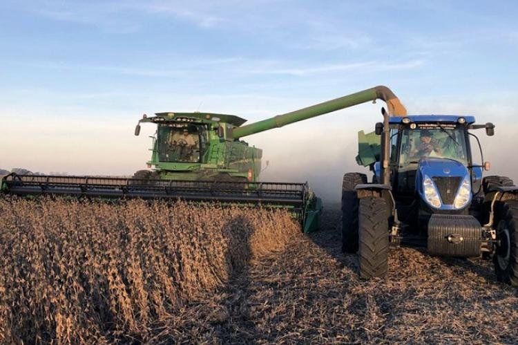 Febrero aumentó el ingreso de divisas del agro y el año comenzó de lo mejor