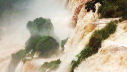 Cataratas del Iguazú: Polémica tras video y la respuesta de las autoridades Cataratas del Iguazú: Polémica tras video y la respuesta de las autoridades