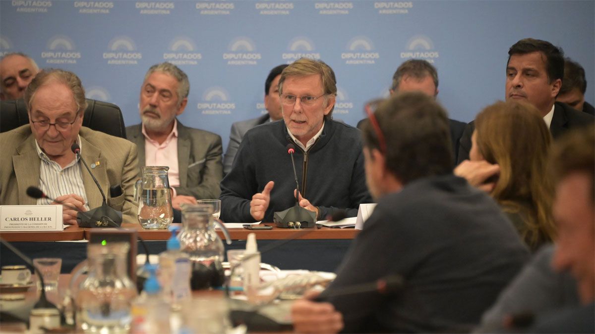 El secretario de Agricultura, Juan José Bahillo, defendió el proyecto de presupuesto el martes en Diputados. 