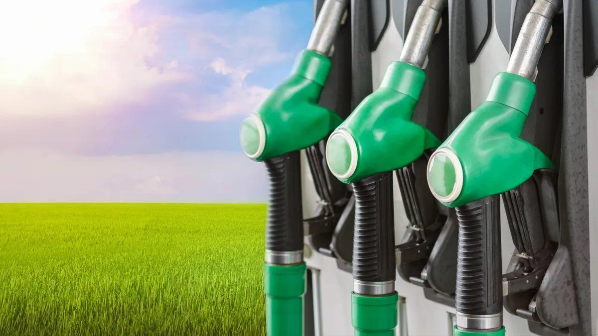 La megamuestra de San Nicolás fue el escenario donde Santa Fe, Córdoba y Entre Ríos alzaron su voz para proteger un mercado de hasta 400 millones de dólares anuales y miles de empleos vinculados a la cadena productiva.