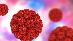 ¿Qué órganos afecta el Virus del Papiloma Humano?