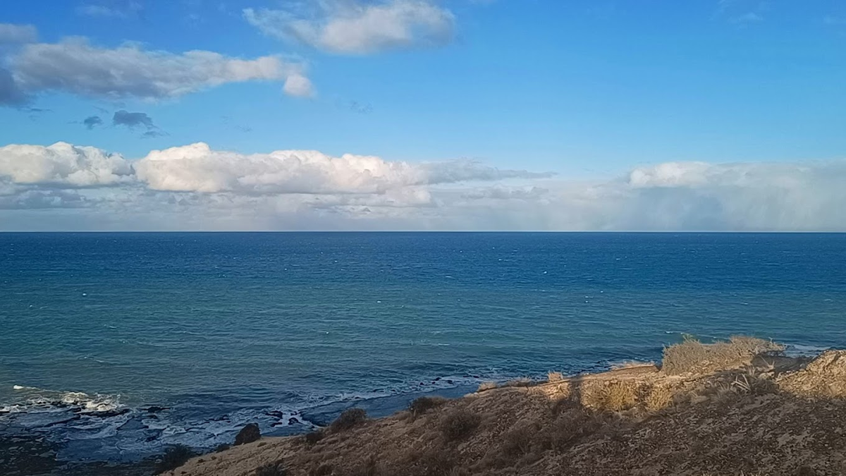 Foto: Alejandra Vitelli. Foto: Alejandra Vitelli.