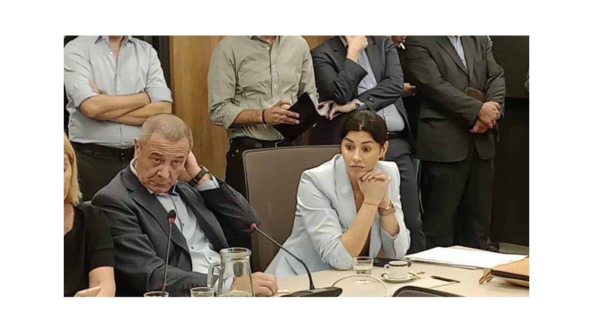 Marcela Pagano, en la bochornosa reunión de la Comisión de Juicio Político que Martín Menem desconoce.