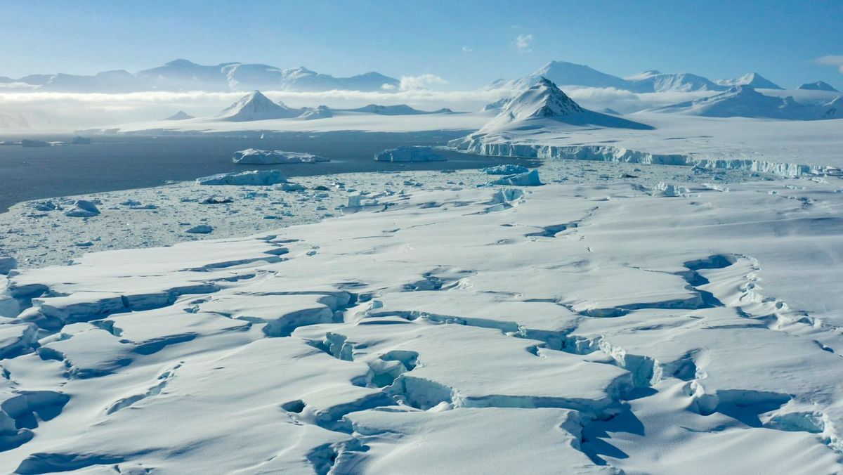 Un sorprendente hallazgo en la Antártida deja mudos a todos.(Foto: National Geographic).