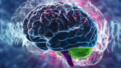 El alimento que una experta en cerebro de Harvard nunca come