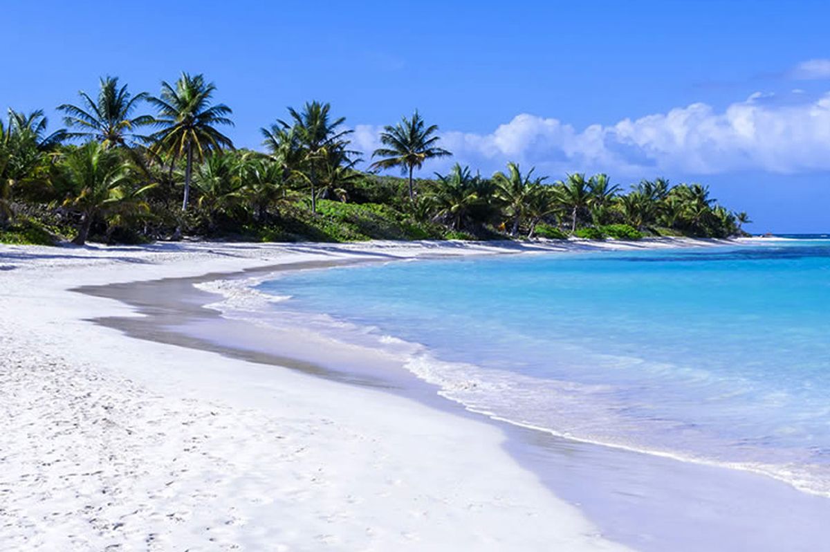 Lo que ha llegado a las playas venezolanas y causa alarma