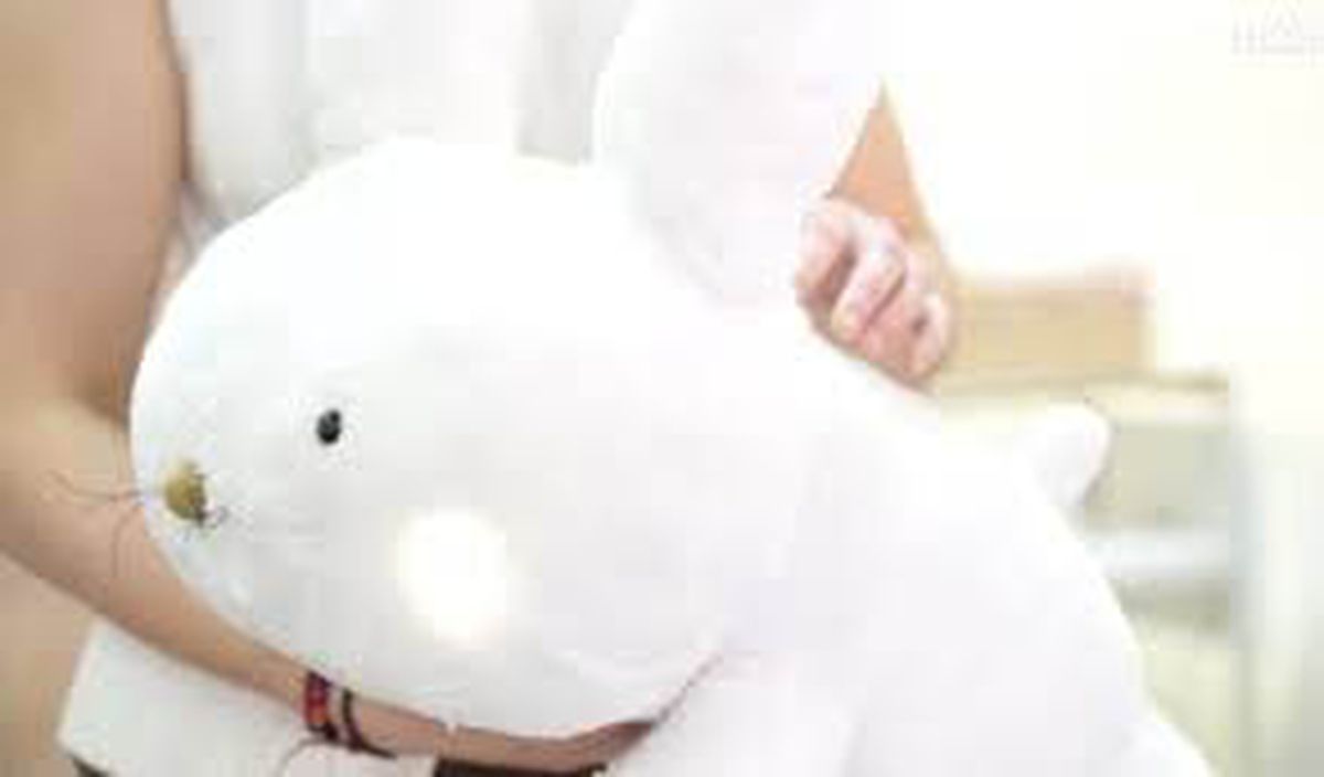 La Inteligencia Artificial (IA) sorprendió con la creación del nuevo robot mascota que reconoce a las personas por su voz. La Inteligencia Artificial (IA) sorprendió con la creación del nuevo robot mascota que reconoce a las personas por su voz.