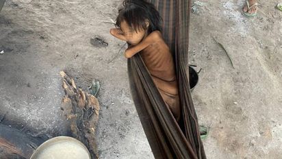 Garimpeiros asesinos: Investigan genocidio yanomami