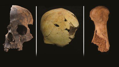 Ciencia: El horror oculto de la Edad de Bronce que sacude a los científicos