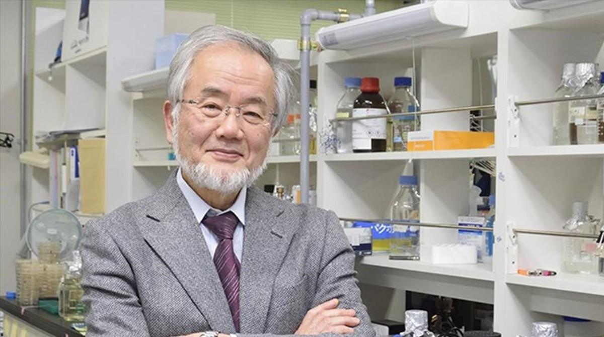 Ayuno intermitente y autofagia: El biólogo japonés Yoshinori Ohsumi, galardonado con el Premio Nobel de Medicina en 2016, cuya investigación pionera identificó los genes que regulan el sistema de reciclaje y limpieza de las células humanas. Ayuno intermitente y autofagia: El biólogo japonés Yoshinori Ohsumi, galardonado con el Premio Nobel de Medicina en 2016, cuya investigación pionera identificó los genes que regulan el sistema de reciclaje y limpieza de las células humanas.
