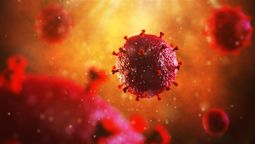¿Cómo prevenir el avance del VIH?