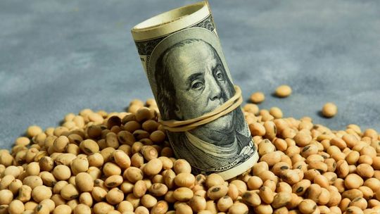 La preocupación estadounidense radica en que Argentina implemente esquemas de beneficios, como el fugaz retenciones cero de septiembre, que podrían desplazar la soja americana de China La preocupación estadounidense radica en que Argentina implemente esquemas de beneficios, como el fugaz retenciones cero de septiembre, que podrían desplazar la soja americana de China