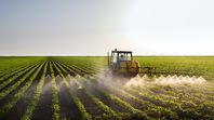 La empresa multinacional que se dedica a productos de protección de cultivos tomó la decisión de cerrar su filial en Argentina por la situación económica y fiscal. La empresa multinacional que se dedica a productos de protección de cultivos tomó la decisión de cerrar su filial en Argentina por la situación económica y fiscal.