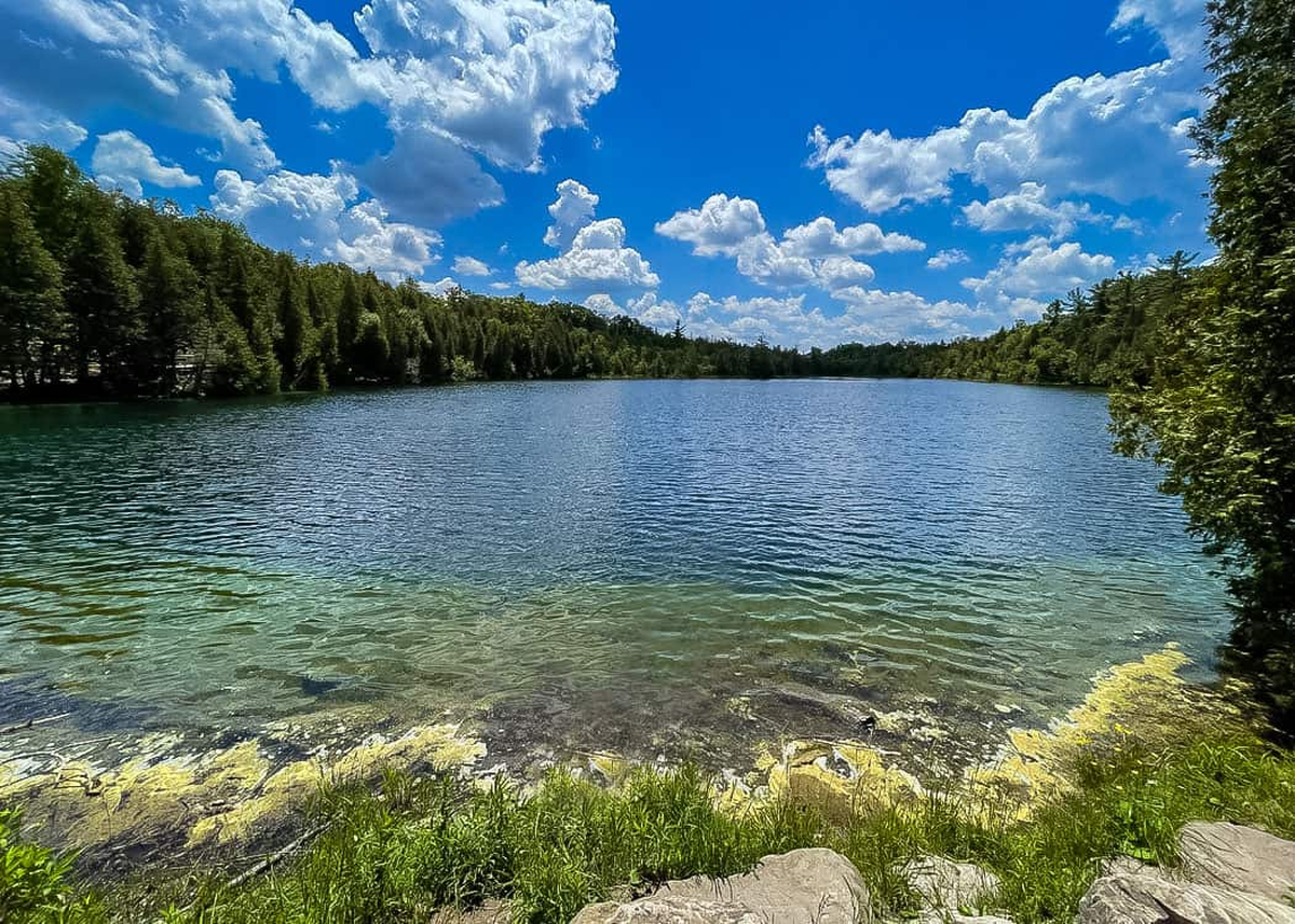 Un lugar en verdad fascinante. Un lugar en verdad fascinante.