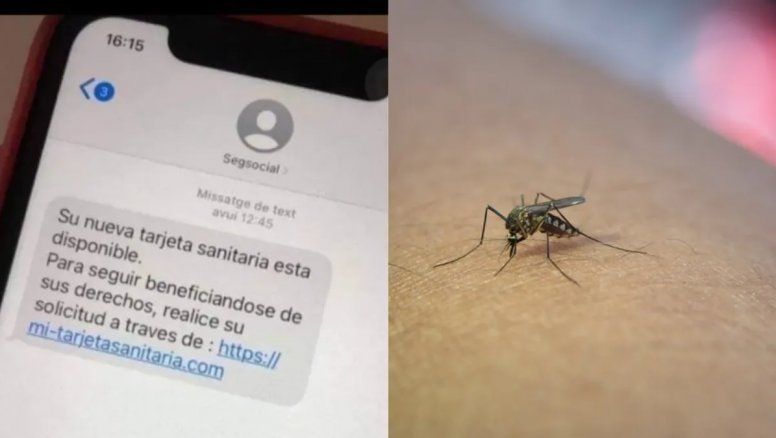 Falsa campaña de vacunación contra el dengue causa preocupación