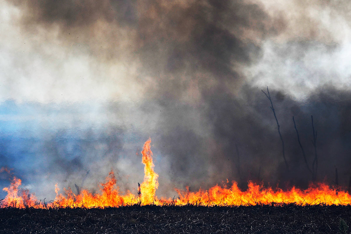 Protocolos para enfrentar los incendios forestales. Protocolos para enfrentar los incendios forestales. 