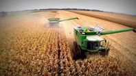 El agro es el sector con mayor incidencia positiva en el EMAE. El agro es el sector con mayor incidencia positiva en el EMAE.