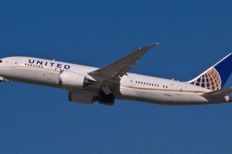 Animales en el aire. 