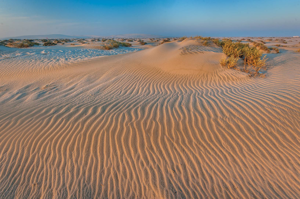 Algunas carpas se ubicaran en la playa Sealine, en el sur de Qatar.