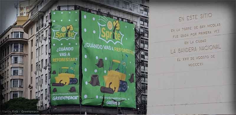 ¿Cuándo vas a reforestar?.