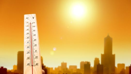 Volvió el calor extremo a Buenos Aires y se renueva el temor por los cortes de luz. Volvió el calor extremo a Buenos Aires y se renueva el temor por los cortes de luz.