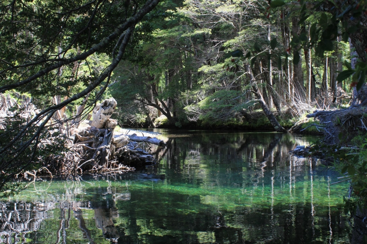 Las termas Queñi, ubicadas en el corazón del Parque Nacional Lanín, representan un tesoro natural de la Patagonia argentina, ideal para disfrutar en plena temporada de verano. Las termas Queñi, ubicadas en el corazón del Parque Nacional Lanín, representan un tesoro natural de la Patagonia argentina, ideal para disfrutar en plena temporada de verano.