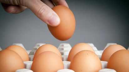 Huevo: beneficios, mitos y todo lo que debes saber