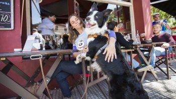 Rosario busca convertirse en Pet Friendly para favorecer el consumo y el turismo Rosario busca convertirse en Pet Friendly para favorecer el consumo y el turismo