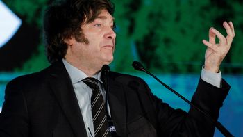 Javier Milei apuntó contra Lousteau y admitió charla con Bolsonaro. Javier Milei apuntó contra Lousteau y admitió charla con Bolsonaro.
