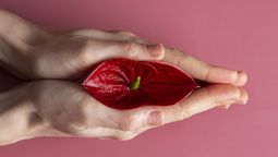 Sexo: ¿Cómo relajar los músculos del suelo pélvico? / Imagen de Freepik.