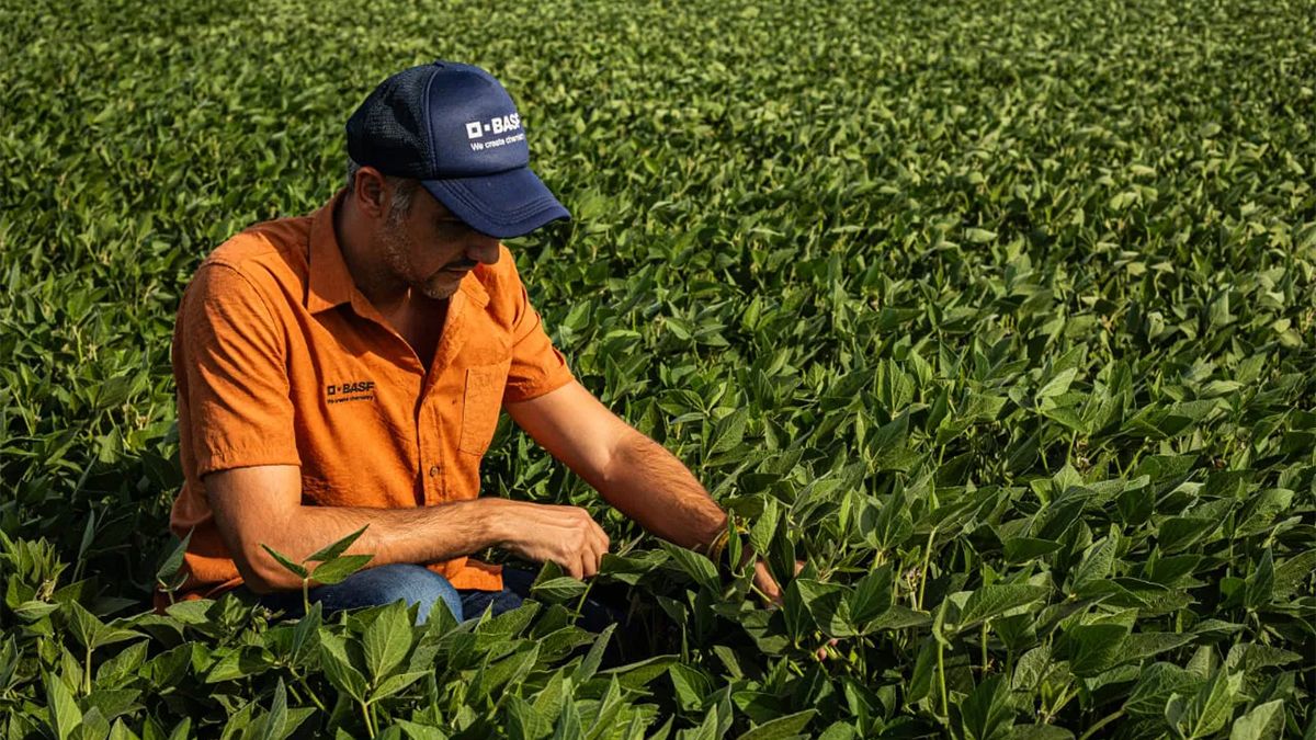 La empresa BASF Soluciones para la Agricultura anunció que completó con éxito la adquisición de AgBitech y amplía su portafolio de control biológico. La empresa BASF Soluciones para la Agricultura anunció que completó con éxito la adquisición de AgBitech y amplía su portafolio de control biológico.