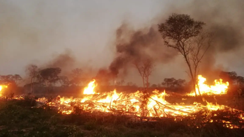 Presión campesina: Luis Arce podría agravar los incendios con nuevo pacto