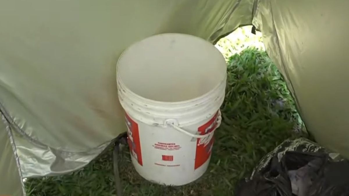 Los libertarios no pueden soltar el balde. Los libertarios no pueden soltar el balde.