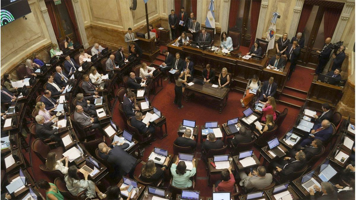 El recinto del Senado de la Nación.&nbsp;