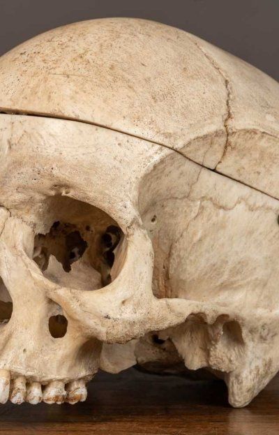 El oscuro secreto de Oxford: Ritual macabro con un cáliz de cráneo humano