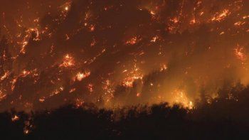 ¿Por qué Javier Milei no viajó a Patagonia?; el ICE de USA detuvo a niño de 5 años