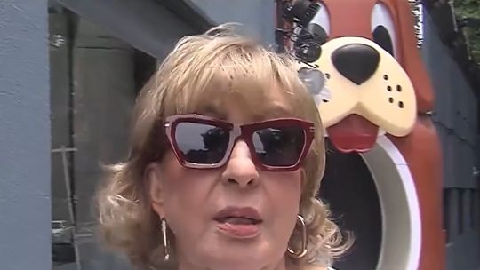 Guerra en Telefe: Georgina Barbarossa bancó a Verónica Lozano y destruyó a Wanda Nara. Guerra en Telefe: Georgina Barbarossa bancó a Verónica Lozano y destruyó a Wanda Nara.