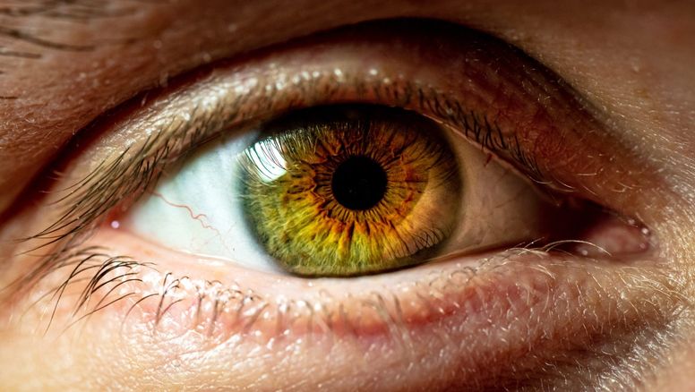 Esta vitamina es altamente efectiva para mejorar tu visión